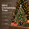 The Twinklo™ Crystal Tree Kit